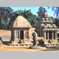 Fragment �wi�tyni Rathas w Mahabalipuram