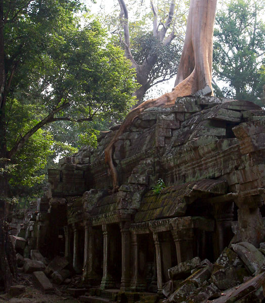 witynia Ta Prohm (1)