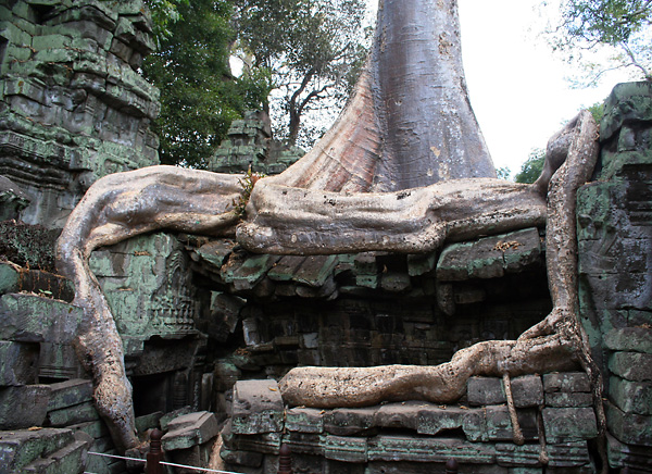 witynia Ta Prohm (3)