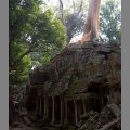 witynia Ta Prohm (1)