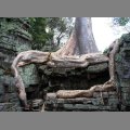 witynia Ta Prohm (3)