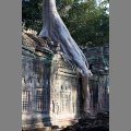 Zak�tek w �wi�tyni Preah Khan