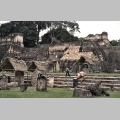 P�nocny Akropol w Tikal (Gwatemala)