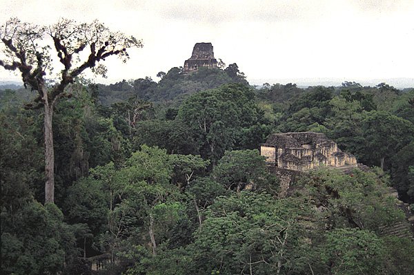 Tikal - widok oglny miasta Majw
