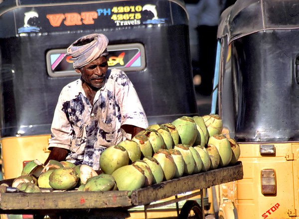Sprzedawca kokosw w Mahabalipuram
