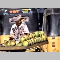Sprzedawca kokosw w Mahabalipuram