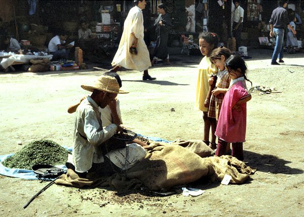 Na ulicy w Marrakeszu