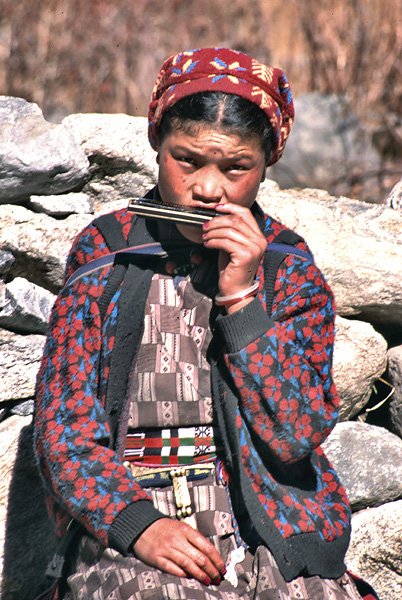 Muzykalna tybetanka