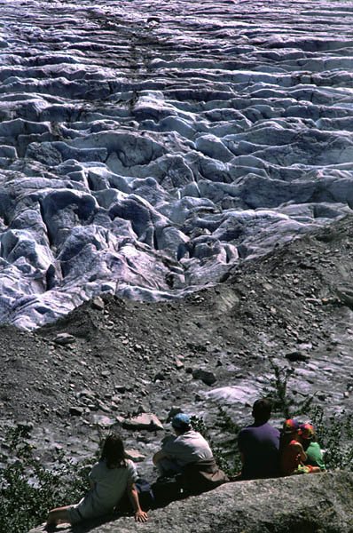 Fragment lodowca Mer de Glace