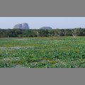SL_0741.jpg