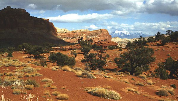 Capitol Reef National Park (1)