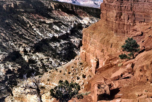 Capitol Reef National Park - Utah (3)