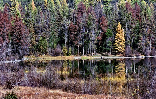 Glacier National Park - Montana (3)