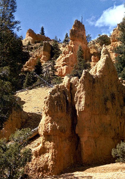 Bryce Canyon National Park - Utah (8)