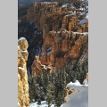 Bryce Canyon National Park - Utah (4)