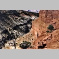 Capitol Reef National Park - Utah (3)