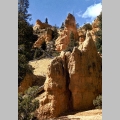 Bryce Canyon National Park - Utah (8)