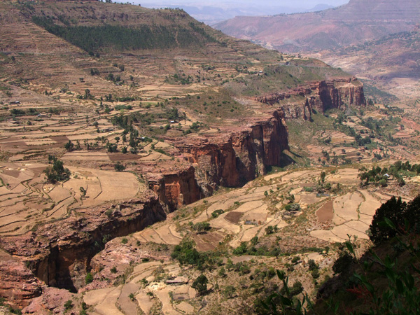 Krajobraz z pogranicza Erytrei (2)