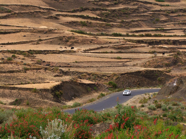 Krajobraz prowincji Tigray