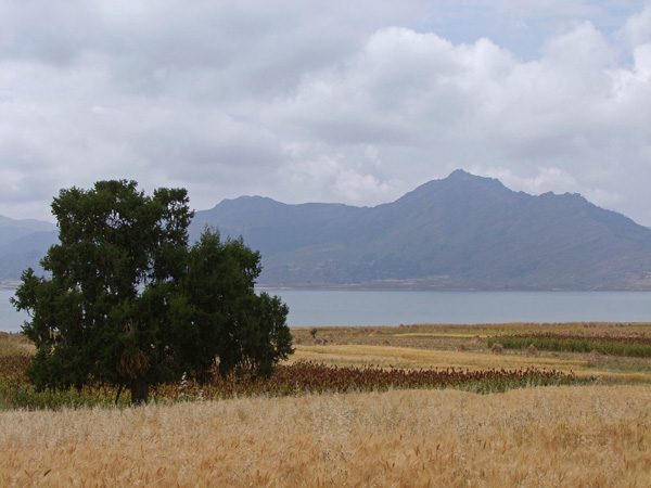 Rolniczy krajobraz Etiopii
