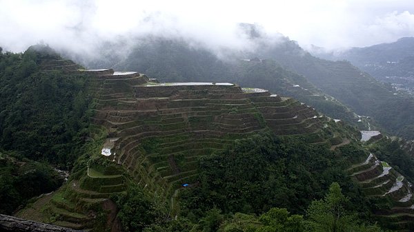 Tarasy z Banaue View Point