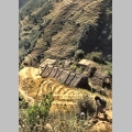 Pola uprawne w dolinie Modi Khola