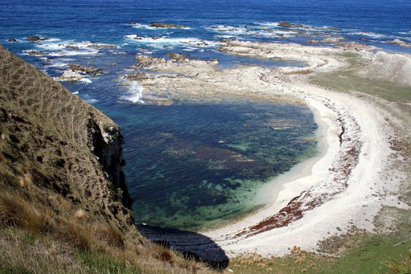 Wybrzee morskie w pobliu Kaikoura (1)