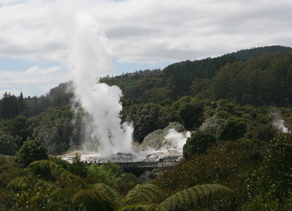Gejzer Pohutu w pobliu Rotorua