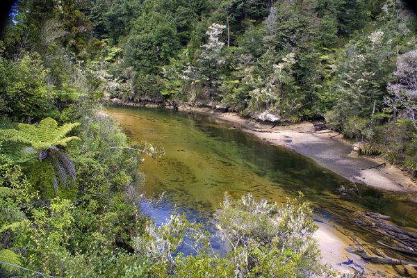 W Parku Narodowym Abel Tasman (4)