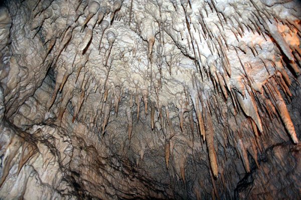 Jaskinia Aranui w pobliu Waitomo