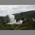 Gejzer Pohutu w pobliu Rotorua