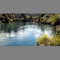 Rzeka Waikato w pobli�u Taupo