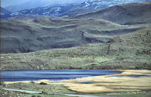 W parku Torres del Paine przed zachodem soca