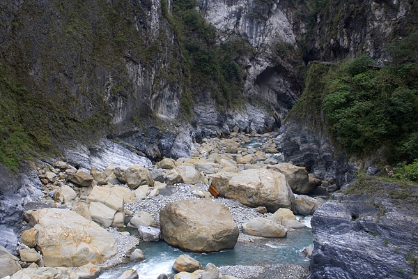 Wwz Taroko (4)